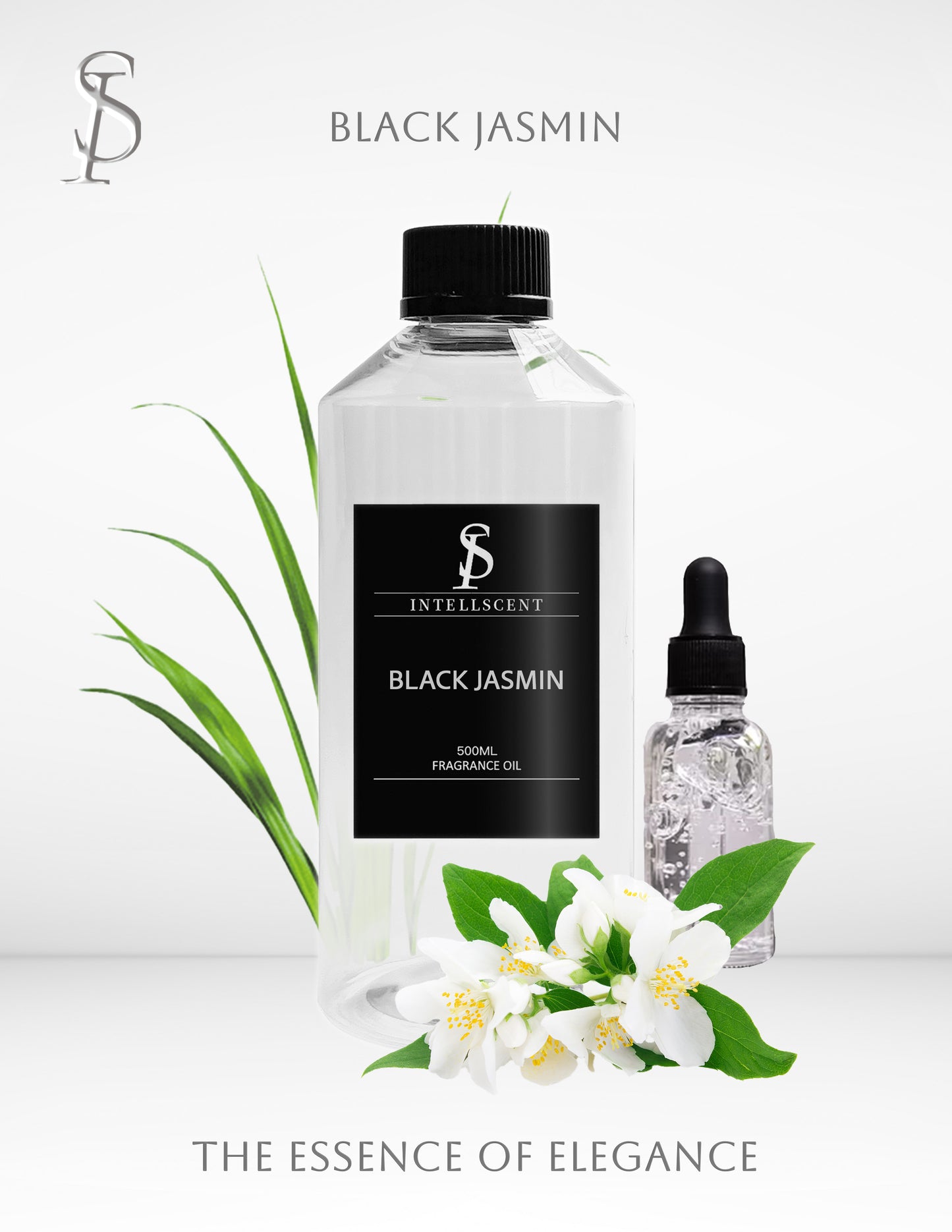 Discover the Essence of Elegance: Black Jasmin by INTELLSCENT